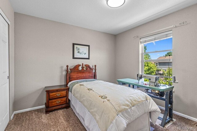 8020 Firecracker Trl, Colorado Springs, CO 80817 - bedroom featuring carpet floors and baseboards