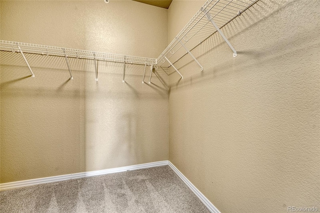 walk in closet with carpet