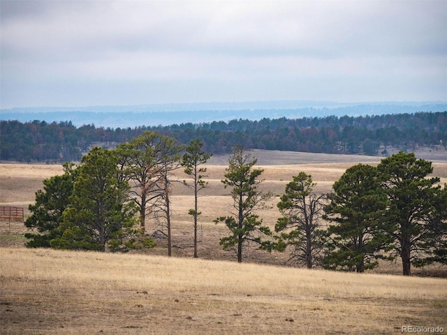 mountain view with a forest view and a rural view