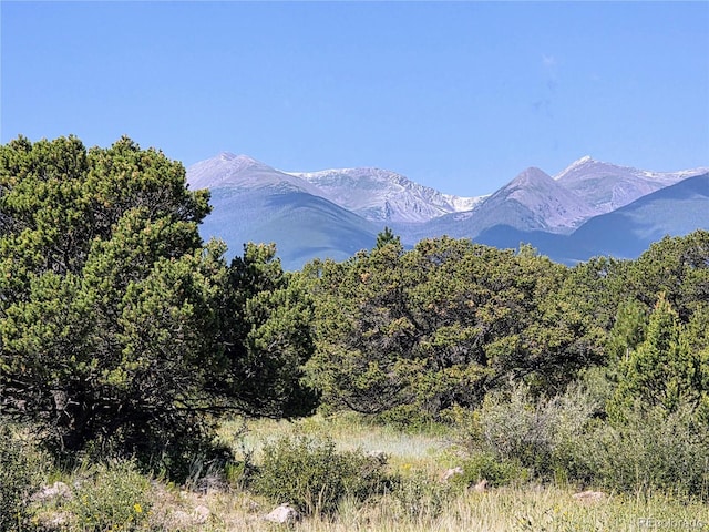 781 Ridgeway Rd, Cotopaxi, CO 81223 - photo 1