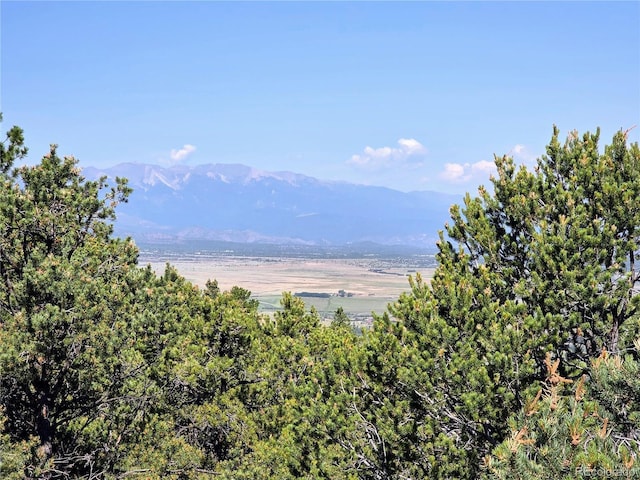 781 Ridgeway Rd, Cotopaxi, CO 81223 - photo 2