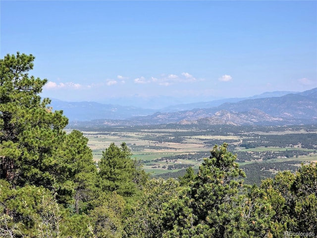 781 Ridgeway Rd, Cotopaxi, CO 81223 - photo 3