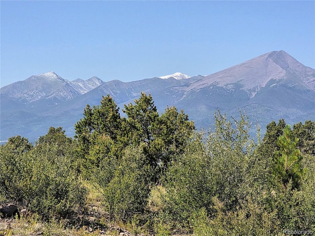 781 Ridgeway Rd, Cotopaxi, CO 81223 - photo 4