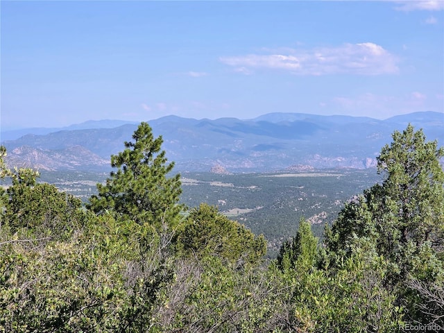781 Ridgeway Rd, Cotopaxi, CO 81223 - photo 6