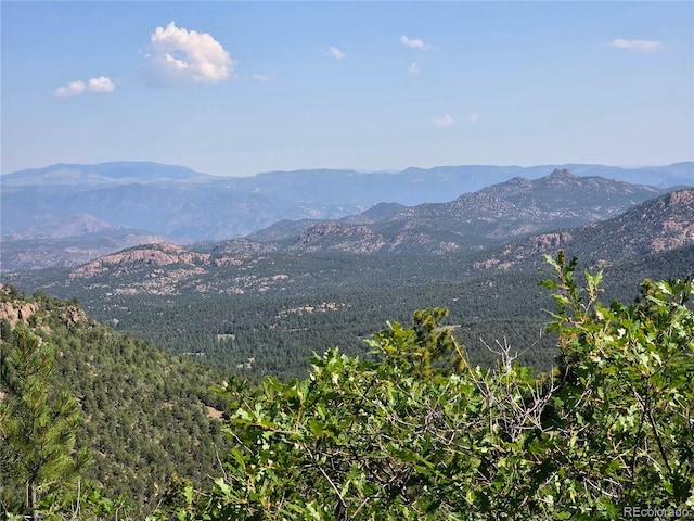 781 Ridgeway Rd, Cotopaxi, CO 81223 - photo 7