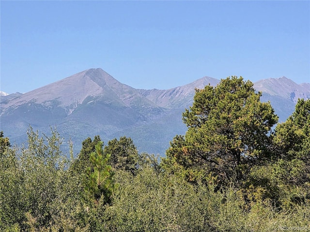 781 Ridgeway Rd, Cotopaxi, CO 81223 - photo 8