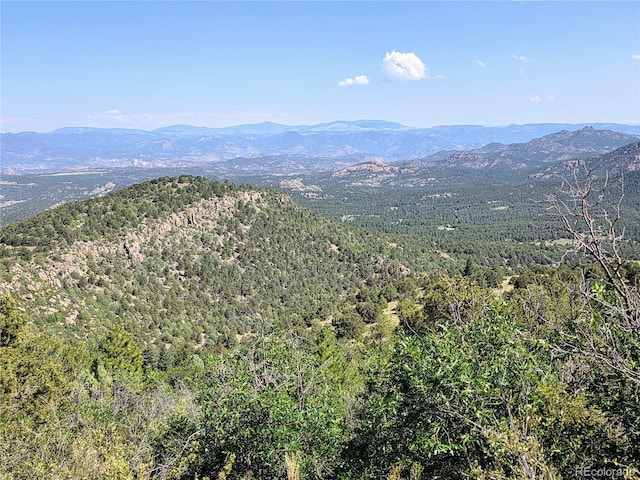 781 Ridgeway Rd, Cotopaxi, CO 81223 - photo 11