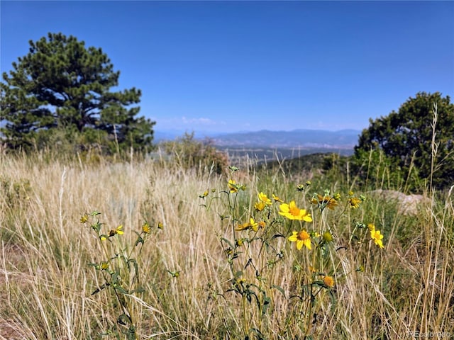 781 Ridgeway Rd, Cotopaxi, CO 81223 - photo 12