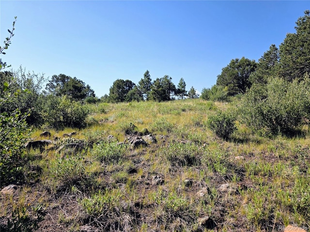 781 Ridgeway Rd, Cotopaxi, CO 81223 - photo 13