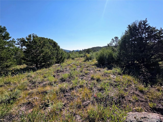 781 Ridgeway Rd, Cotopaxi, CO 81223 - photo 14