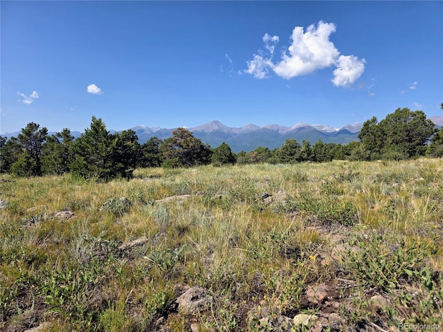 781 Ridgeway Rd, Cotopaxi, CO 81223 - photo 15