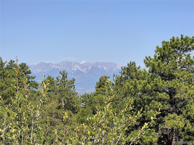 781 Ridgeway Rd, Cotopaxi, CO 81223 - photo 16