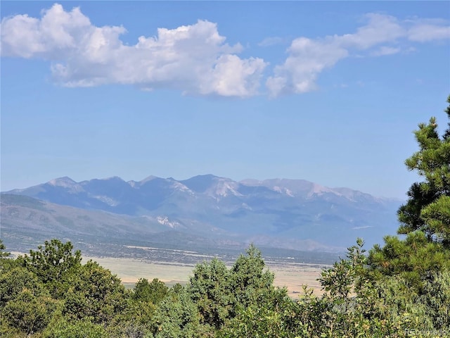 781 Ridgeway Rd, Cotopaxi, CO 81223 - photo 17