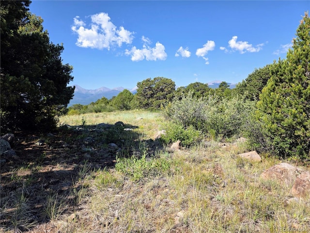 781 Ridgeway Rd, Cotopaxi, CO 81223 - photo 18