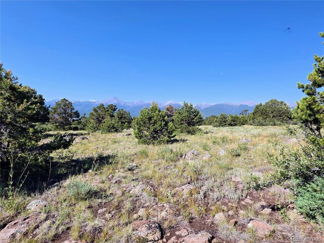 781 Ridgeway Rd, Cotopaxi, CO 81223 - photo 19