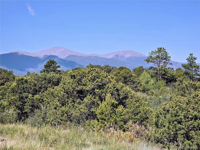 781 Ridgeway Rd, Cotopaxi, CO 81223 - photo 21