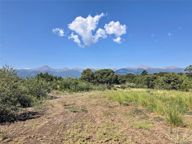 781 Ridgeway Rd, Cotopaxi, CO 81223 - photo 22
