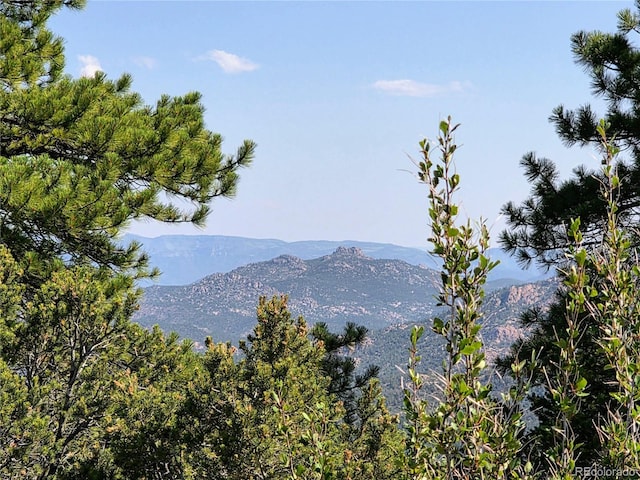 781 Ridgeway Rd, Cotopaxi, CO 81223 - photo 24