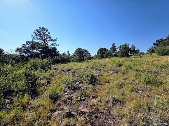 781 Ridgeway Rd, Cotopaxi, CO 81223 - photo 25
