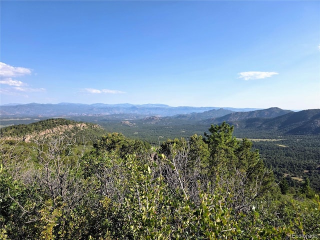 781 Ridgeway Rd, Cotopaxi, CO 81223 - photo 26