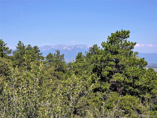 781 Ridgeway Rd, Cotopaxi, CO 81223 - photo 27