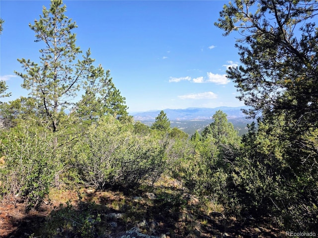 781 Ridgeway Rd, Cotopaxi, CO 81223 - photo 32