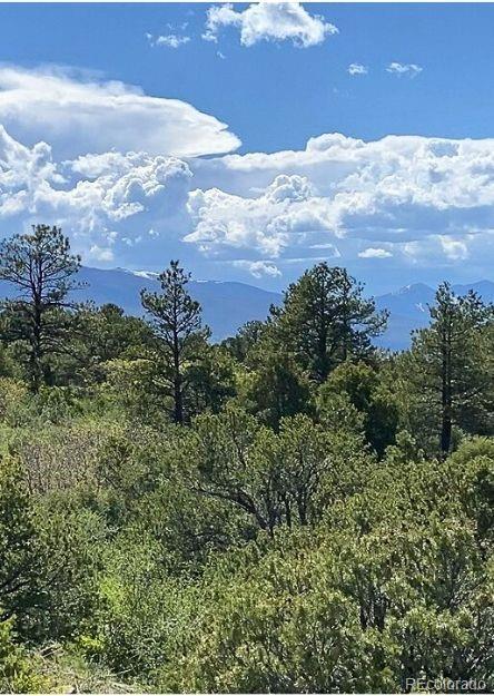 781 Ridgeway Rd, Cotopaxi, CO 81223 - photo 34