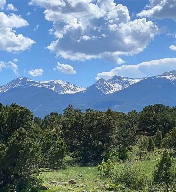 781 Ridgeway Rd, Cotopaxi, CO 81223 - photo 35