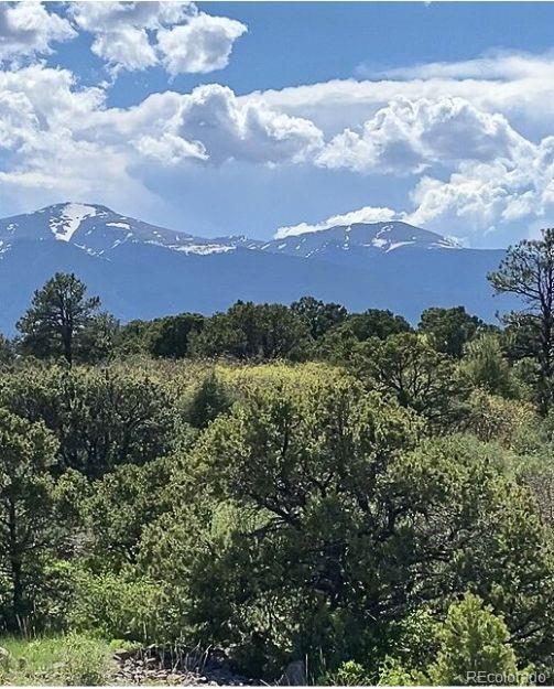 781 Ridgeway Rd, Cotopaxi, CO 81223 - photo 36