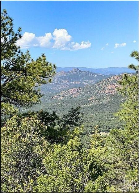 781 Ridgeway Rd, Cotopaxi, CO 81223 - photo 37