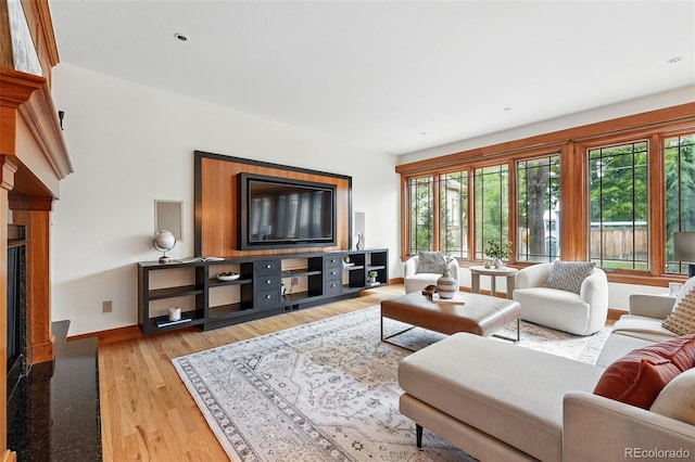 1351 S Milwaukee St, Denver, CO 80210 - living room featuring baseboards and light wood-type flooring