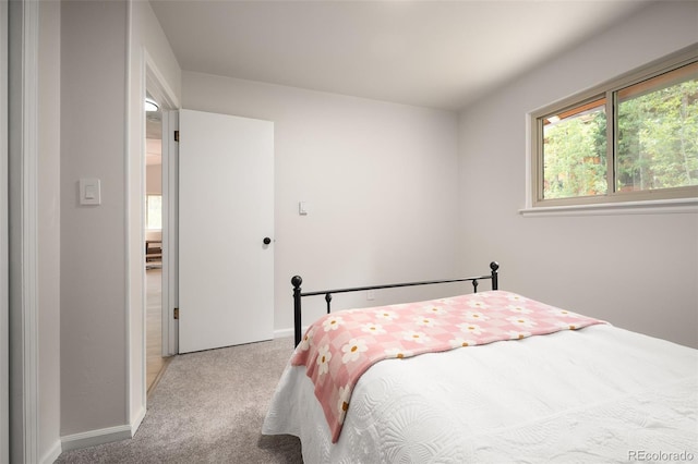 19424 Silver Ranch Rd, Conifer, CO 80433 - carpeted bedroom with baseboards