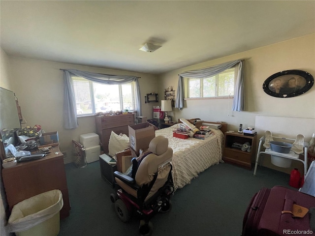 carpeted bedroom featuring multiple windows