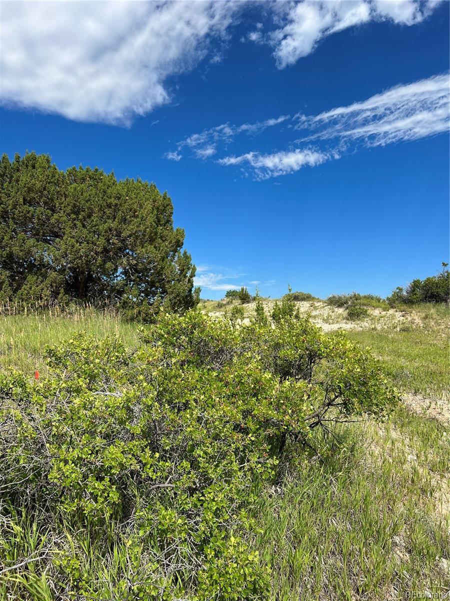 LOT188 Garland St, Colorado City, CO 81019 - photo 1