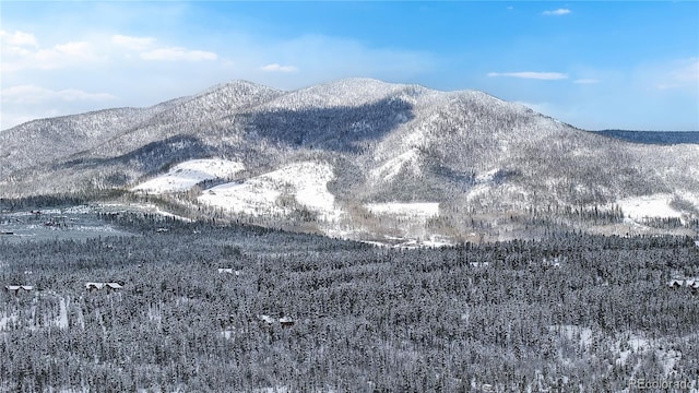 374 County Road 863, Tabernash, CO 80478 - view of mountain background