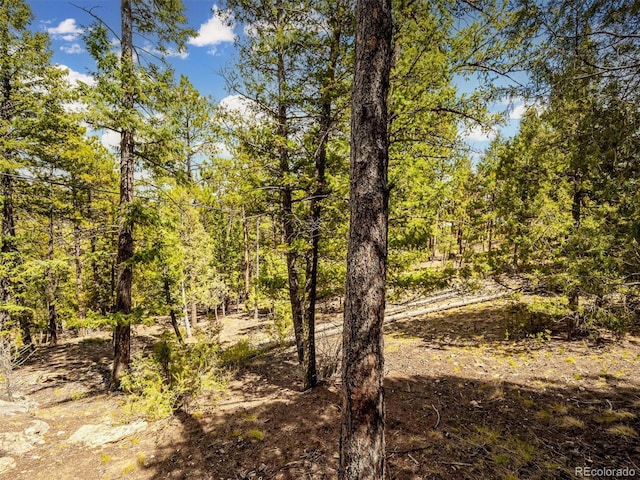 view of nature with a view of trees
