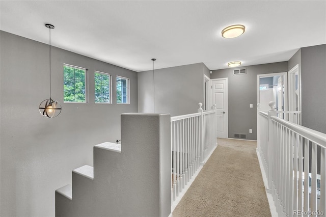 750 Deer Clover Cir, Castle Pines, CO 80108 - hall featuring carpet floors and baseboards