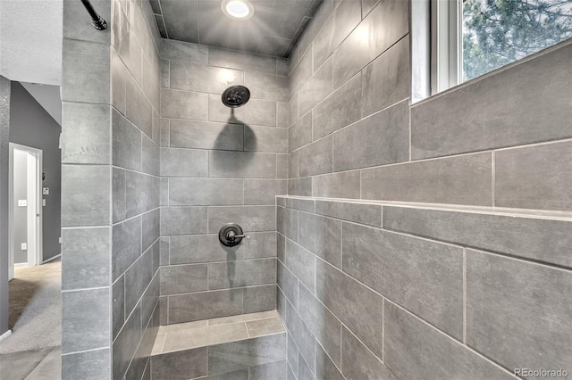 750 Deer Clover Cir, Castle Pines, CO 80108 - full bath with a tile shower