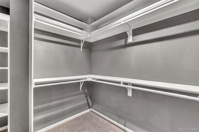 750 Deer Clover Cir, Castle Pines, CO 80108 - walk in closet featuring carpet flooring