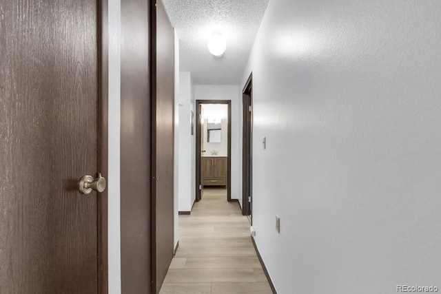 512 E Monroe Dr Unit D438, Fort Collins, CO 80525 - hallway with light wood finished floors and a textured ceiling