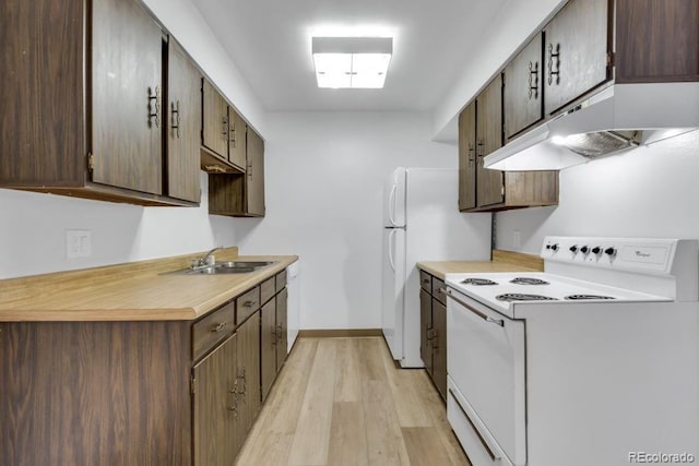 512 E Monroe Dr Unit D438, Fort Collins, CO 80525 - kitchen featuring white appliances, under cabinet range hood, light wood-style flooring, and light countertops