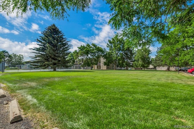 512 E Monroe Dr Unit D438, Fort Collins, CO 80525 - view of yard