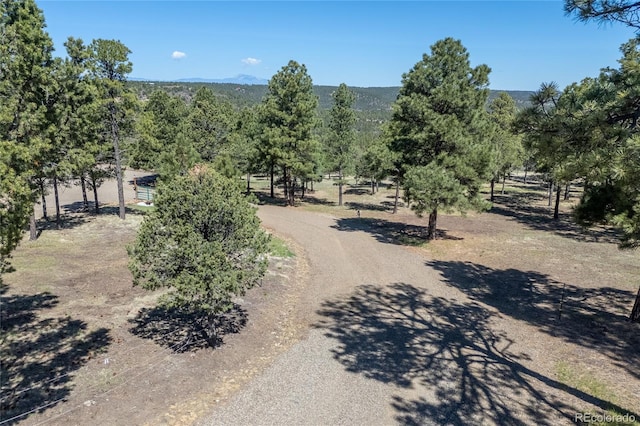 33011 Hidden Meadow Ln, Trinidad, CO 81082 - photo 2
