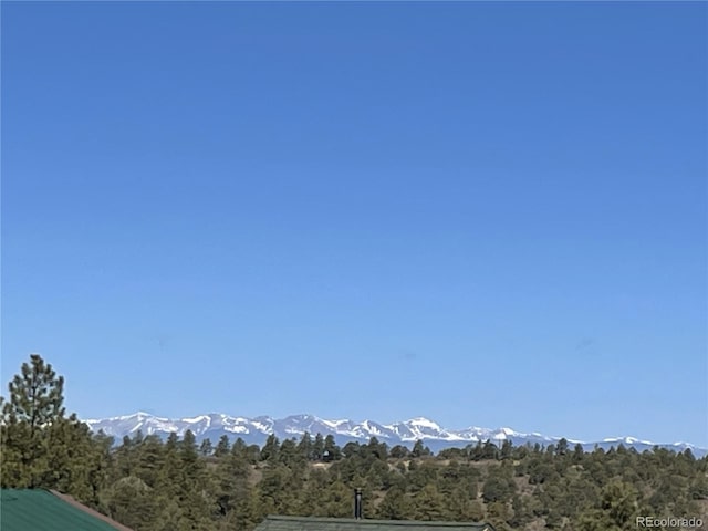 33011 Hidden Meadow Ln, Trinidad, CO 81082 - photo 42