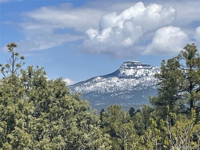 33011 Hidden Meadow Ln, Trinidad, CO 81082 - photo 44