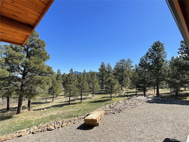 33011 Hidden Meadow Ln, Trinidad, CO 81082 - photo 31