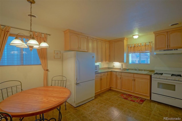 33011 Hidden Meadow Ln, Trinidad, CO 81082 - photo 37