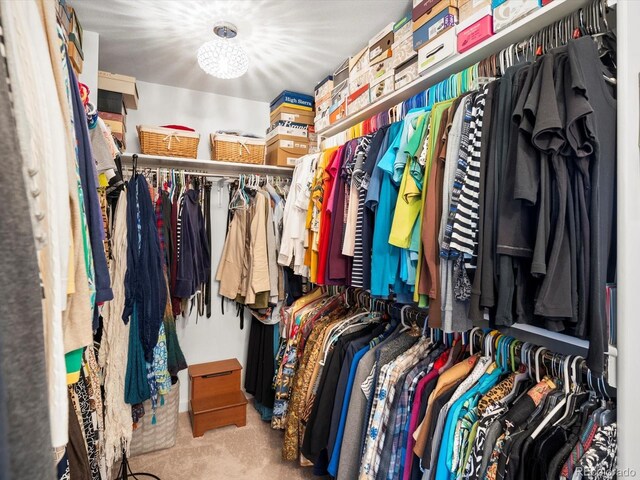 6500 S Downing St, Centennial, CO 80121 - spacious closet featuring carpet flooring