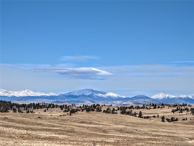 3329 Chimapavi Trl, Hartsel, CO 80449 - photo 1
