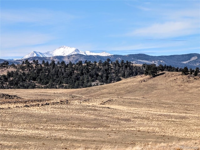 3329 Chimapavi Trl, Hartsel, CO 80449 - photo 2